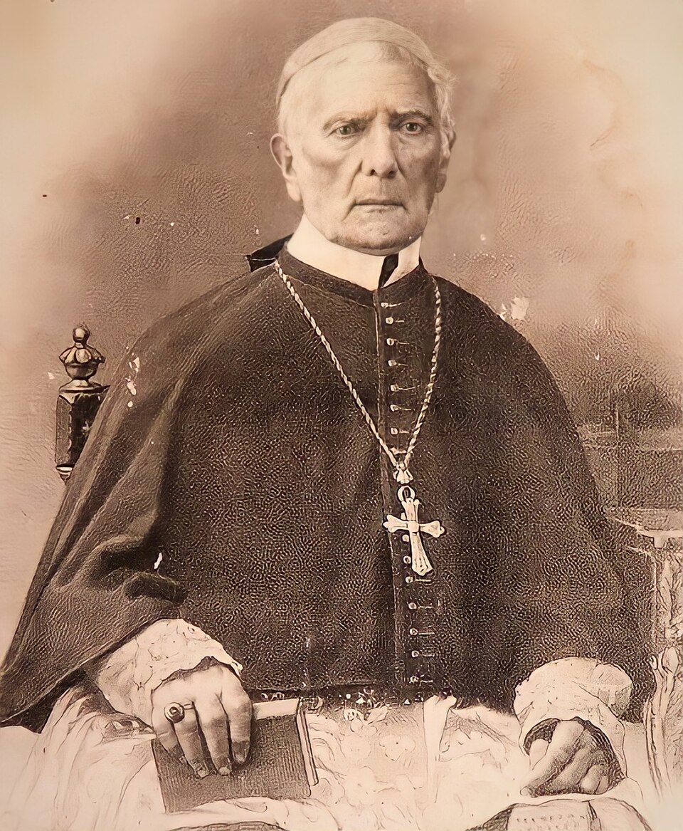 Venerável António Ferreira Viçoso