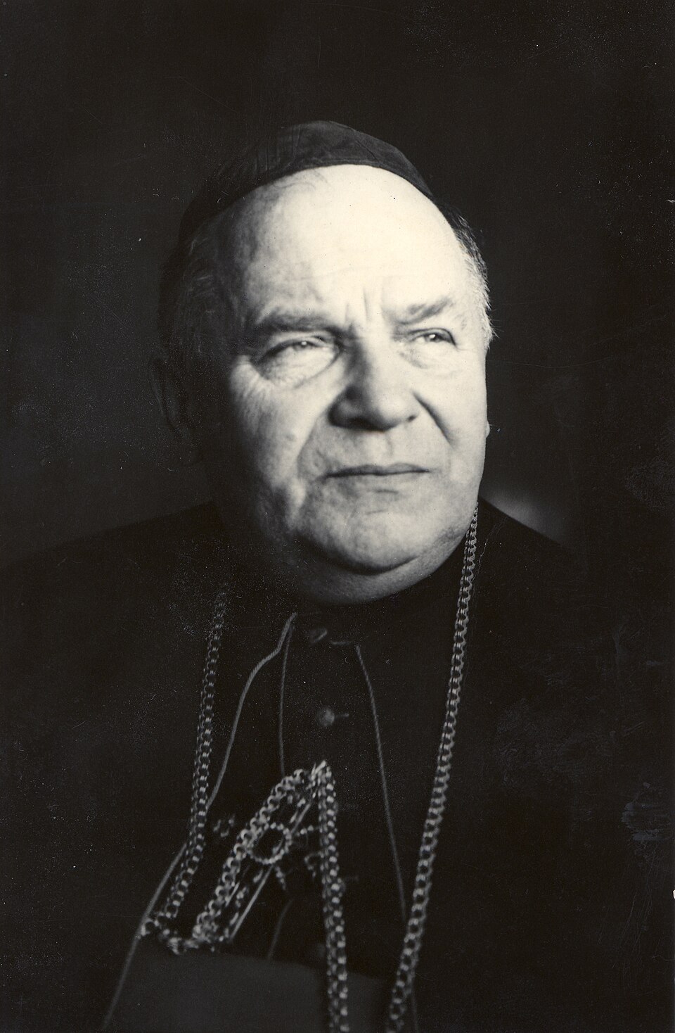 Beato Basil Hopko