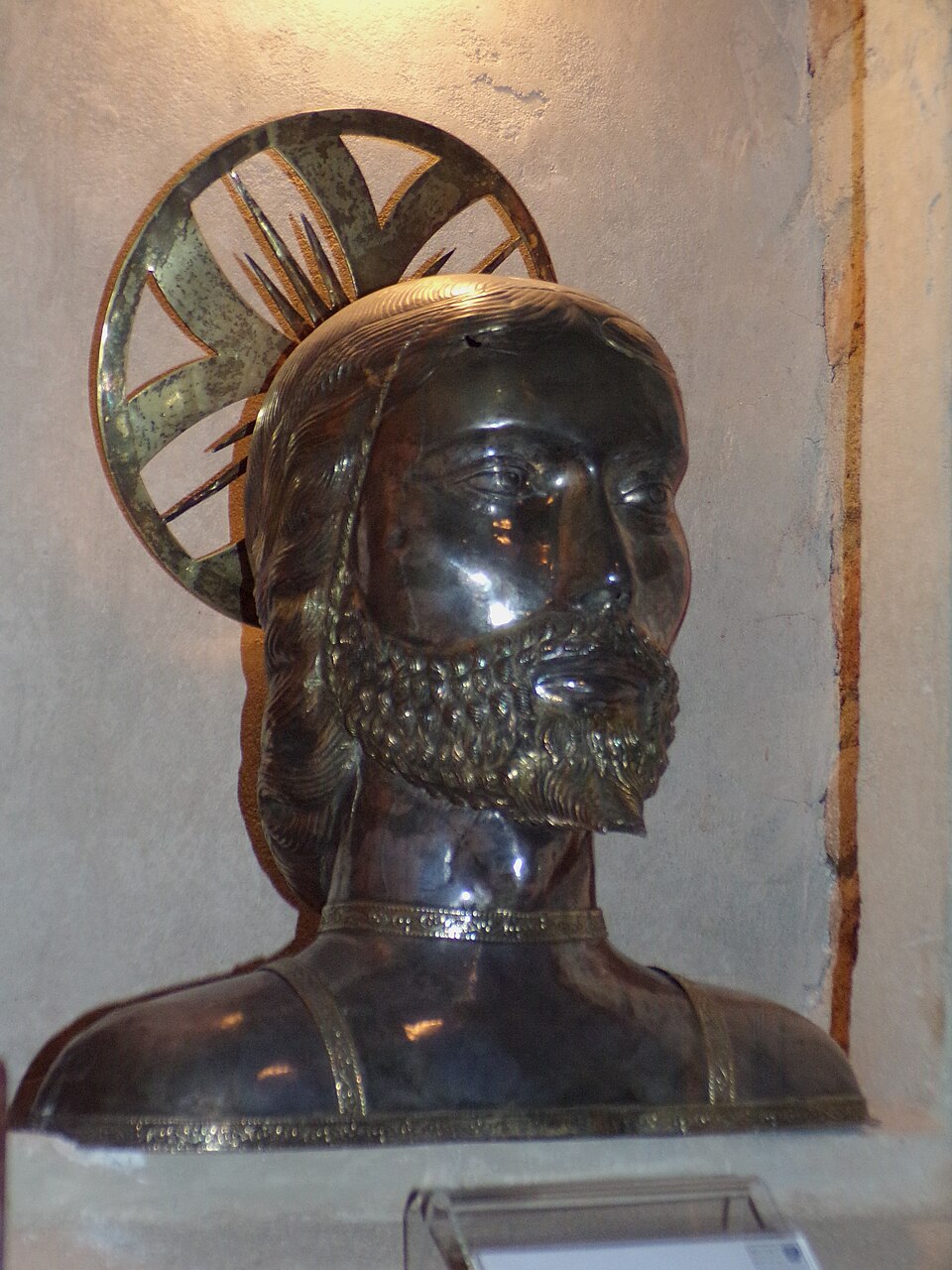 São Calocerus