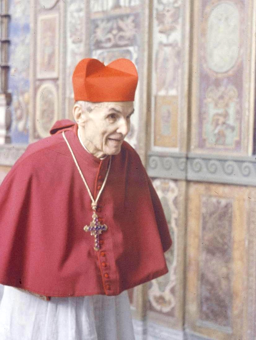 Venerável Elia Dalla Costa