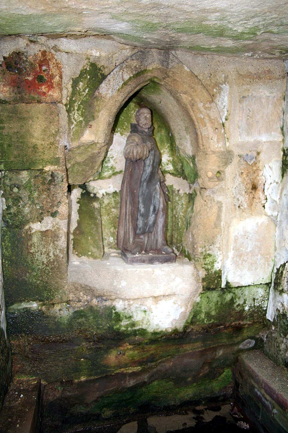 São Gaucherius