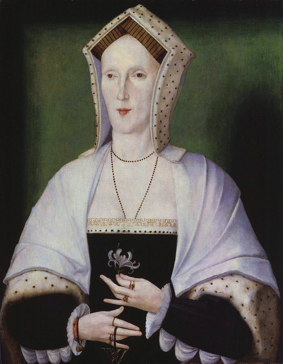 Beata Margaret Pole, 8.ª Condessa de Salisbury